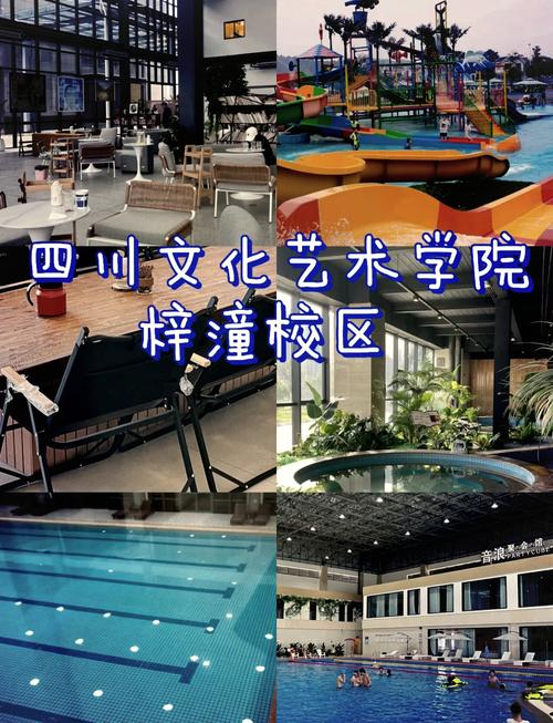 四川文化艺术学院怎么样