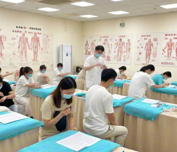 针灸推拿大一学什么课程