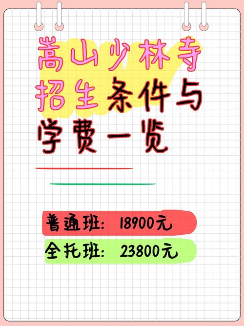 少林寺文武学校招生条件以及报名方式是什么