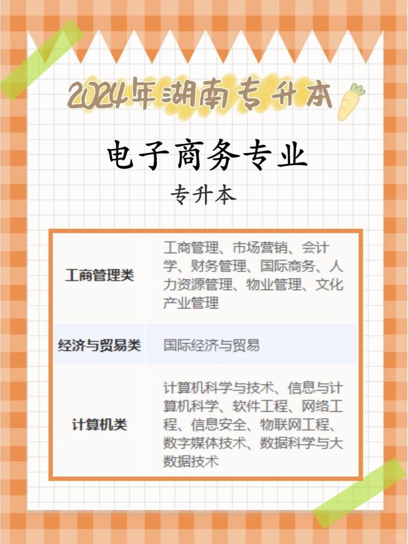 电子商务升本可以升什么专业