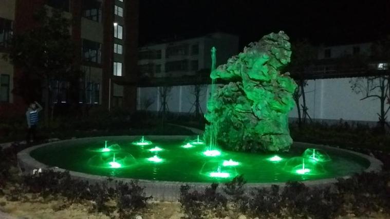阜南科技艺术学校属于什么办学层次
