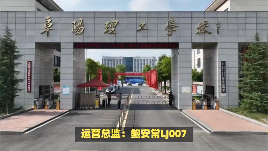 阜阳公办艺术学校有哪些