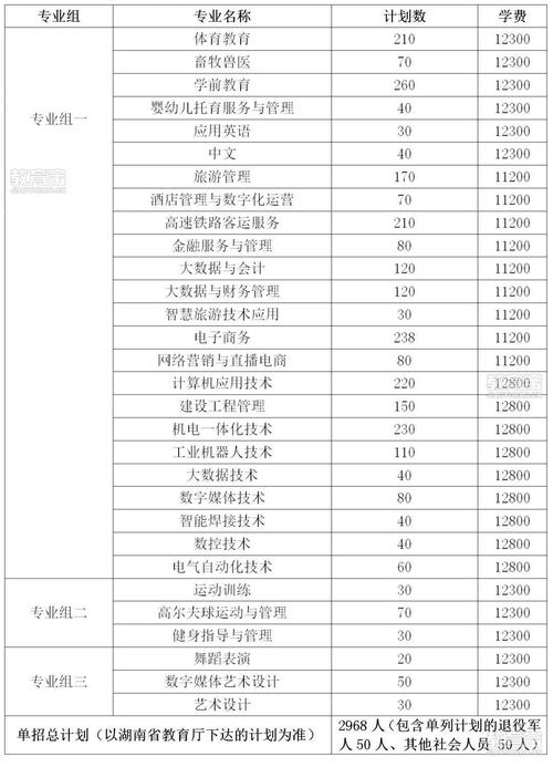 2024湖南大众传媒职业技术学院单招学费多少钱一年