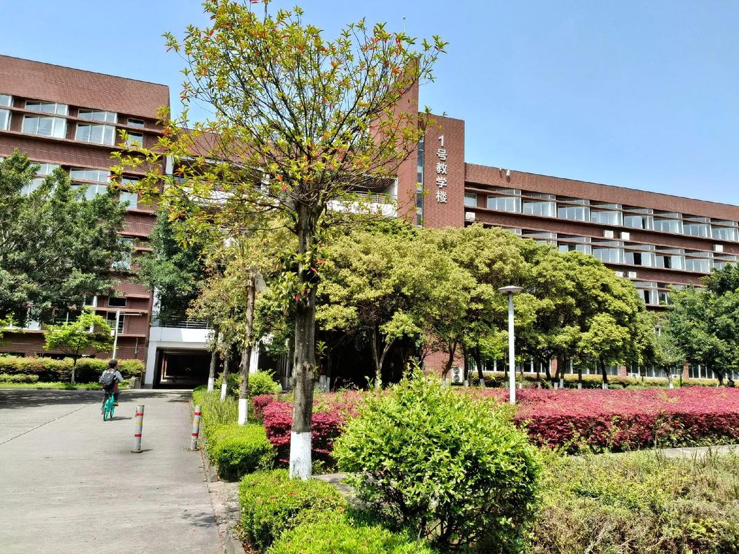 都江堰有什么大学