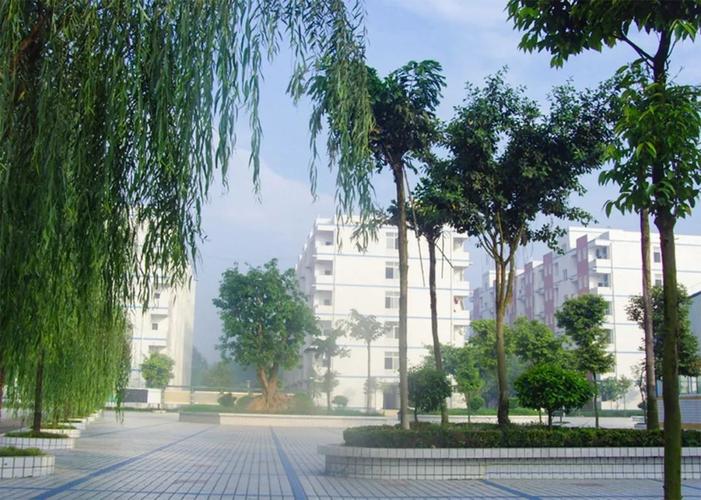 成都指南针职业技术学校好不好?