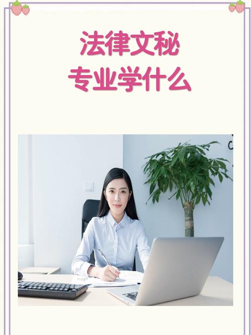 学文秘出来可以做什么