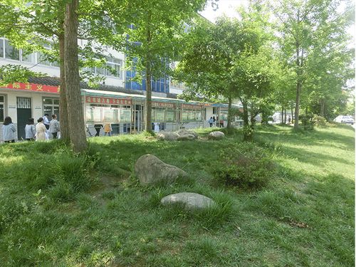 四川育英医养科技技术学校怎么样