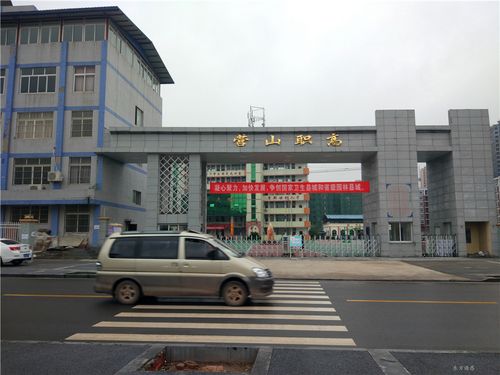 营山三中是公办还是民办