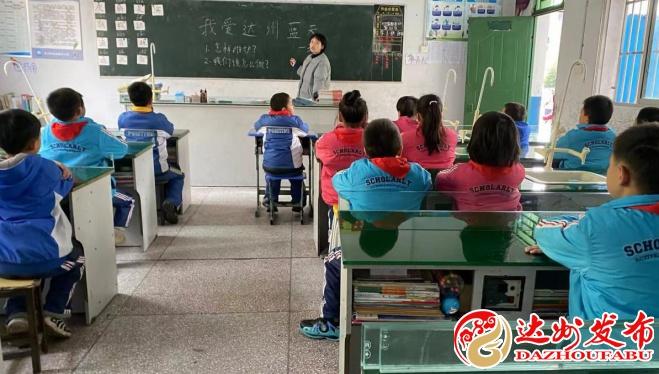 宣汉县柏树职业中学的校园环境怎么样