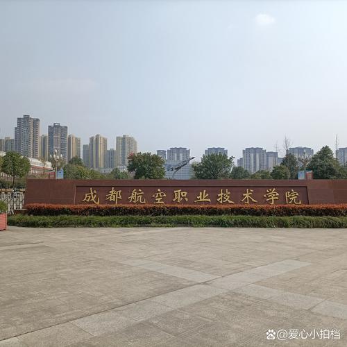 四川的航空学校有哪些