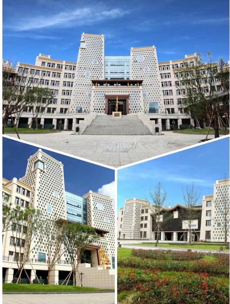 四川的航空学院有哪几个