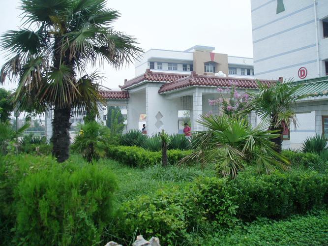 泗阳中专综合高中班学籍是众兴中学吗