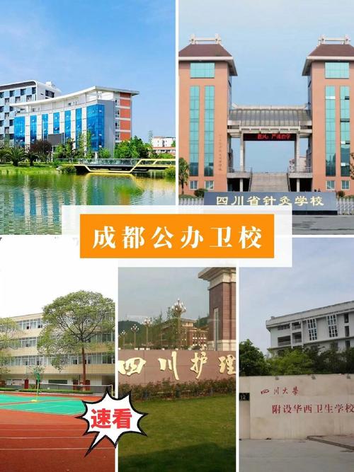 成都公办护理学校有哪些