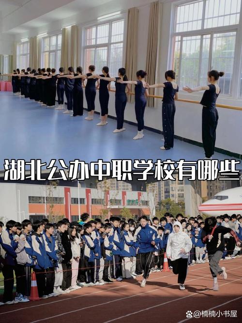 湖北中职中专有哪些学校