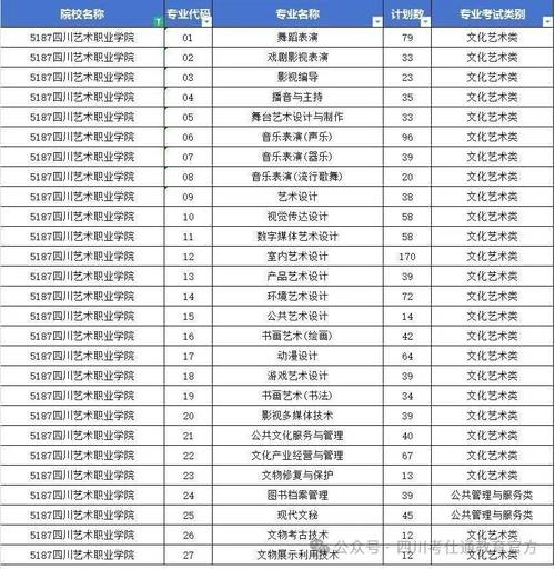 四川商务职业学院艺术类专业有哪些?
