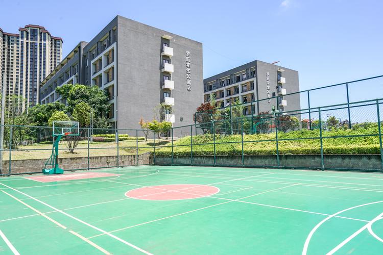 天府新区有哪些职业学院