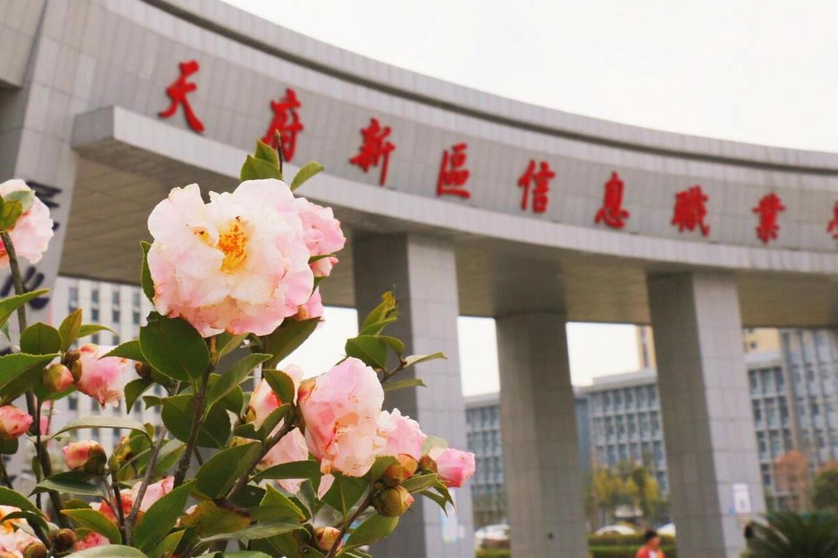 天府新区职业学校新校区地址