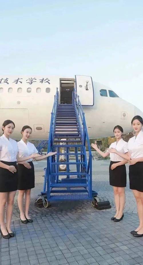 乘务员有什么学校