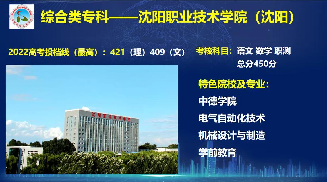 沈阳职业技术学院是公办还是民办大学