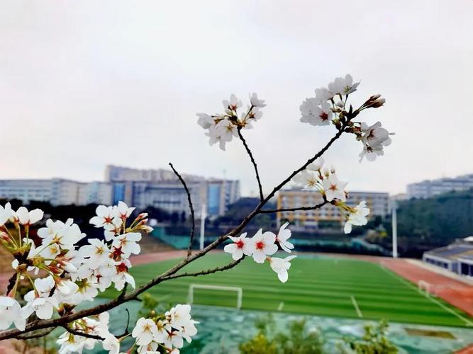 眉山职业技术学院怎么样呀,
