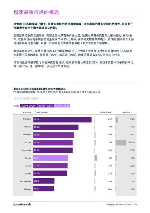 电子商务未来在哪个行业应用前景较好为什么表格分析
