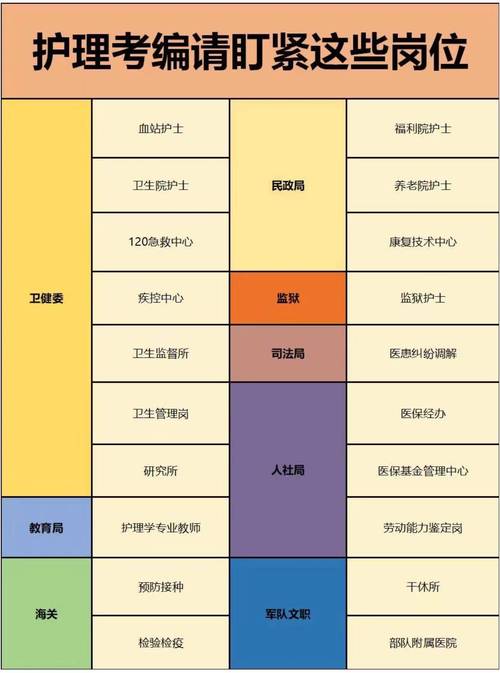 护理分为哪些专业