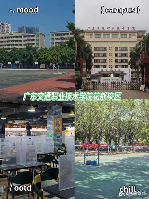 广东交通职业技术学院在广州哪个区?