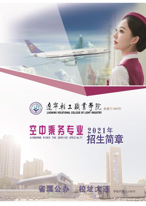 沈阳空乘学校有哪些