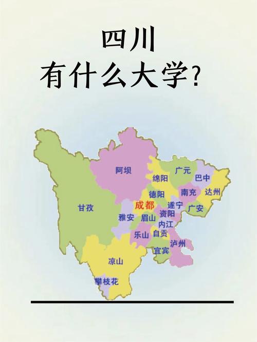 四川有哪些大学?