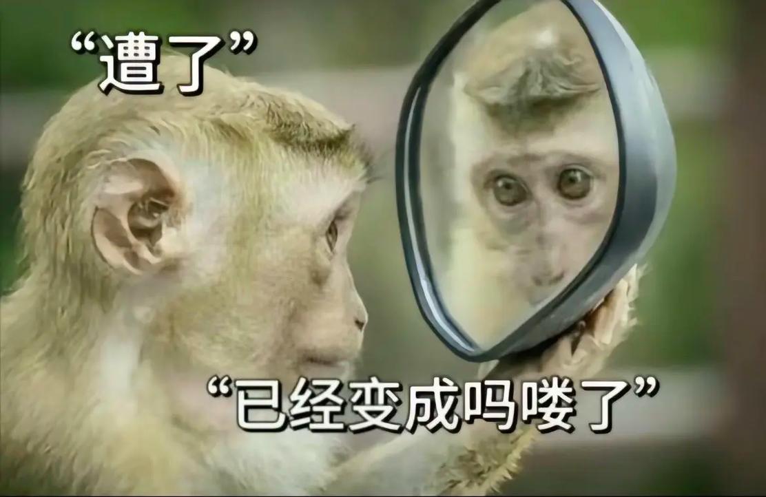 憨牛网干啥的