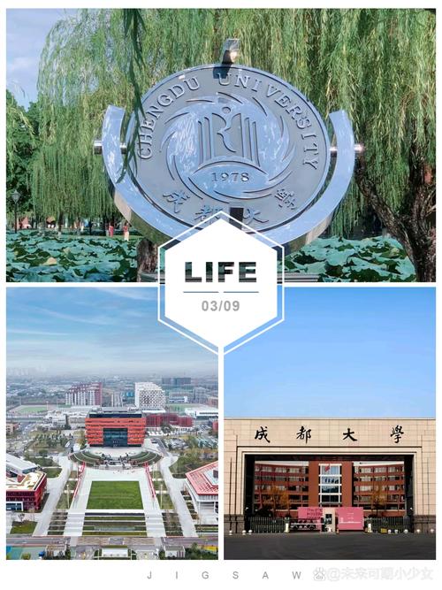 成都有多少所大学