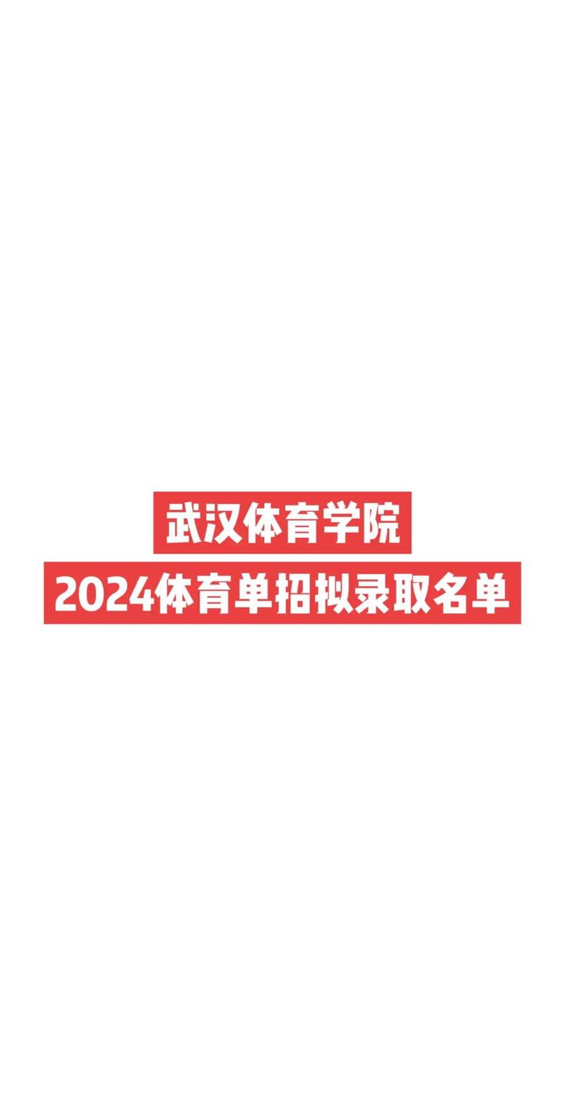武汉体育学院05专业组是什么
