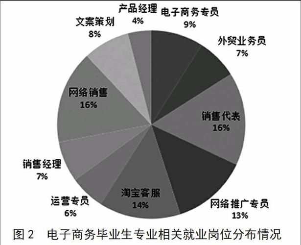 电子商务的就业方向