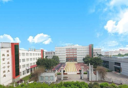 乐山职高有哪些学校