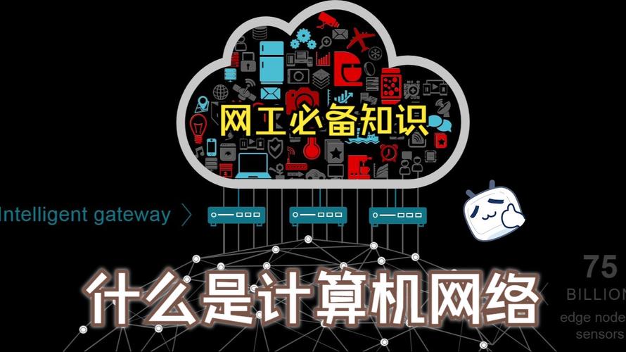 计算机网络能干什么?