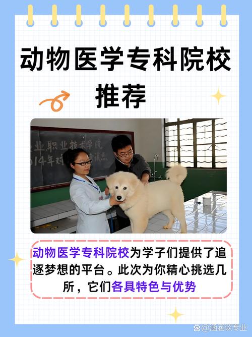 四川初中毕业想学兽医去哪个学校