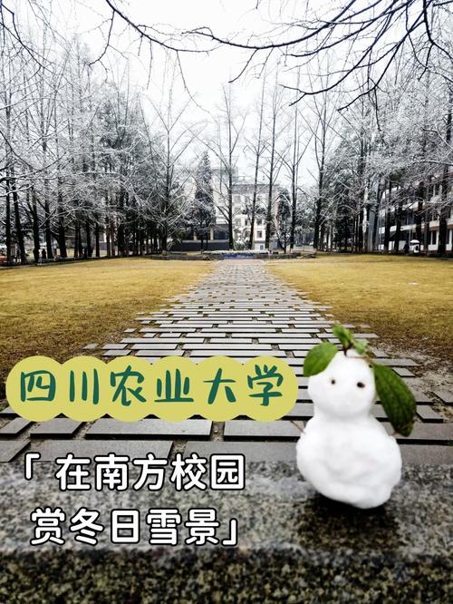 都江堰市职业中学(徐度校区)在都江堰的哪里?