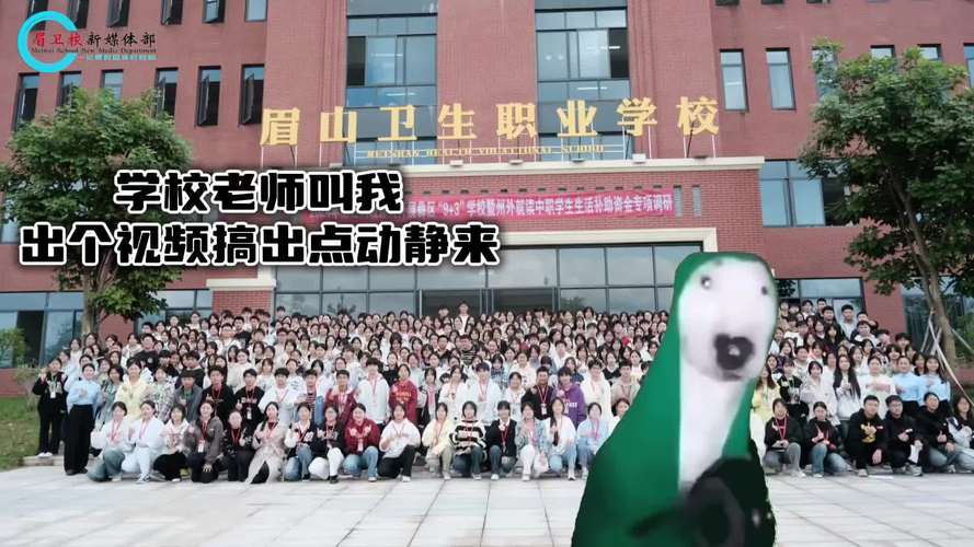 眉山卫校是公办还是民办