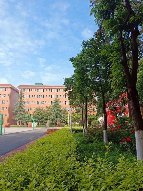 眉山卫生职业学校怎样?