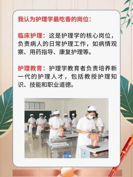 护理学最吃香的三个专业