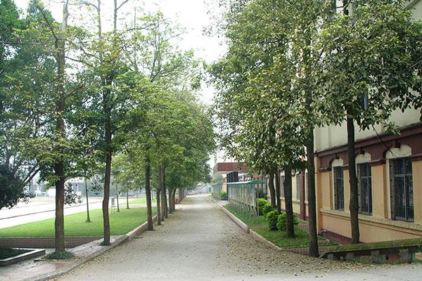 内江铁路机械学校2021年招生办联系电话