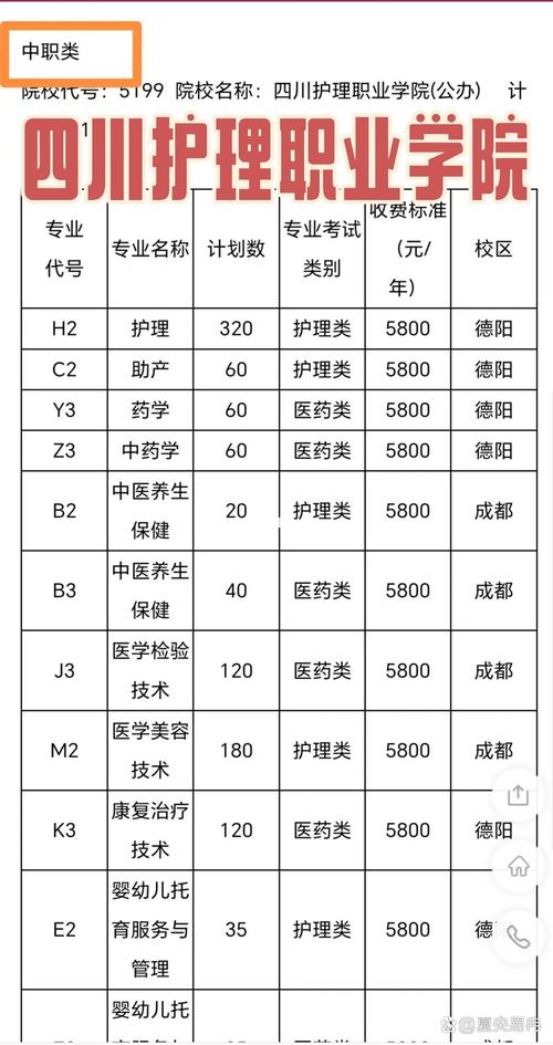 四川护理职业学院是公办还是民办