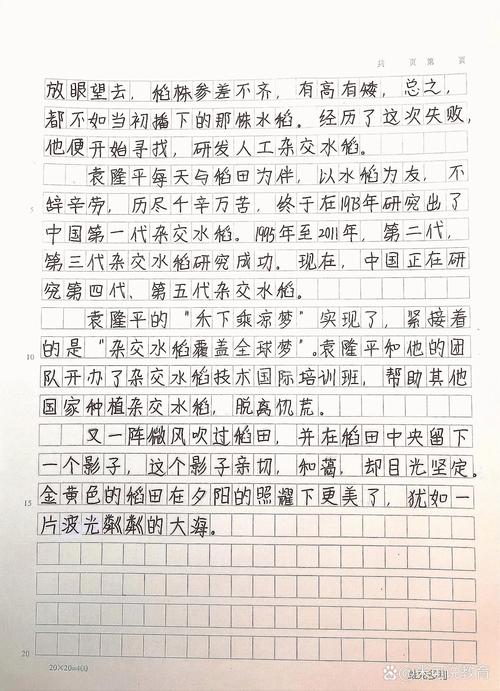 袁敬华的人物故事