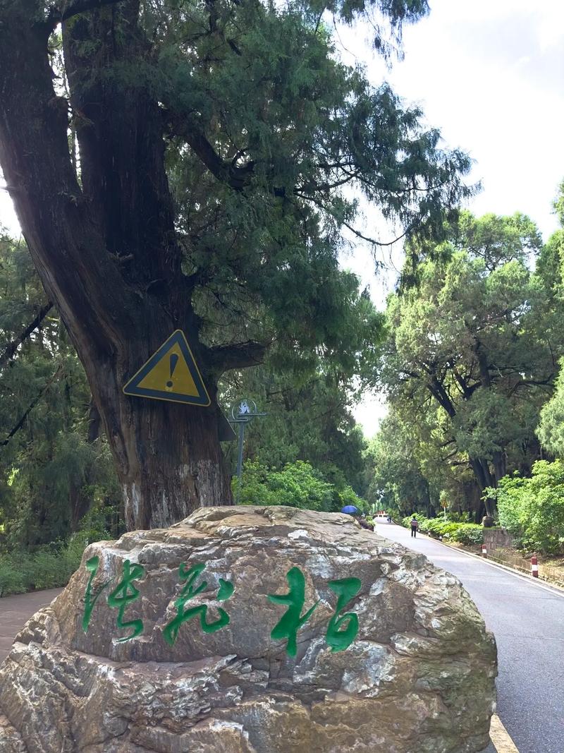 绵阳梓潼怎么样