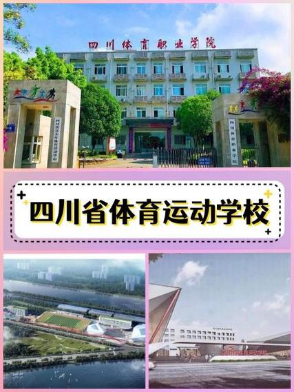 体校是什么意思?