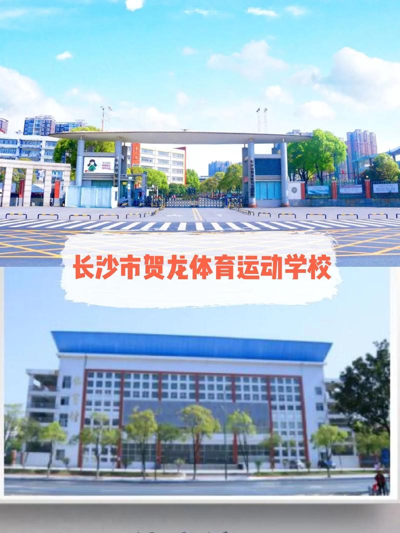 体校属于什么类型的学校