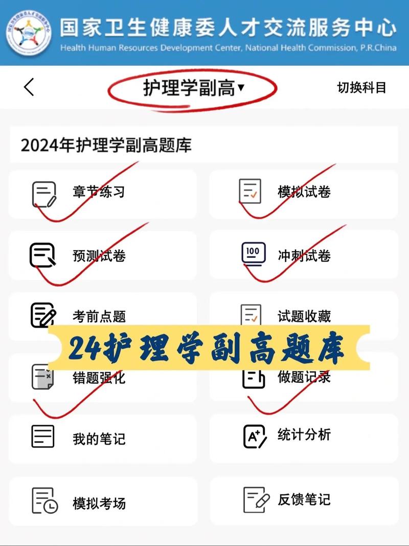 护理副高考什么科目?