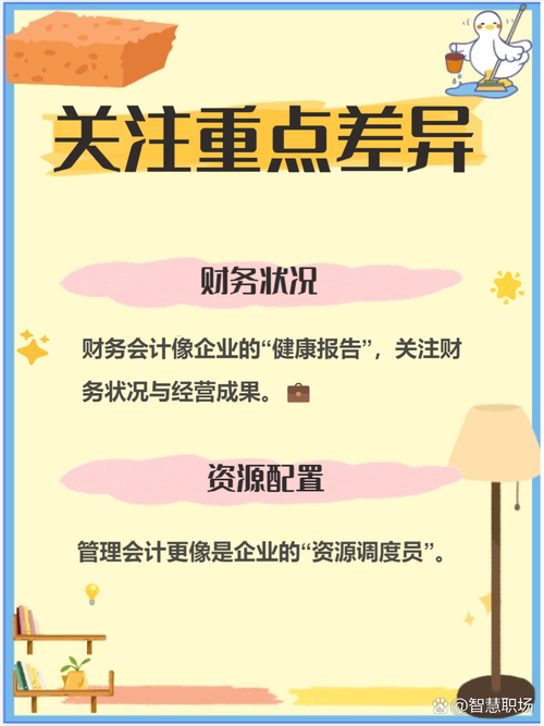 会计专业和财务管理专业有什么相同和区别?