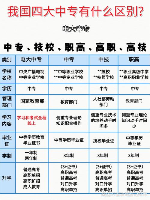 高职学校和中职学校有哪些专业课程