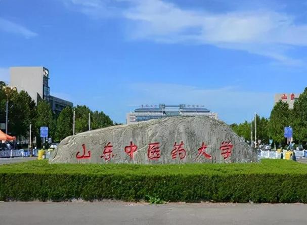 山东医科大学药学什么样